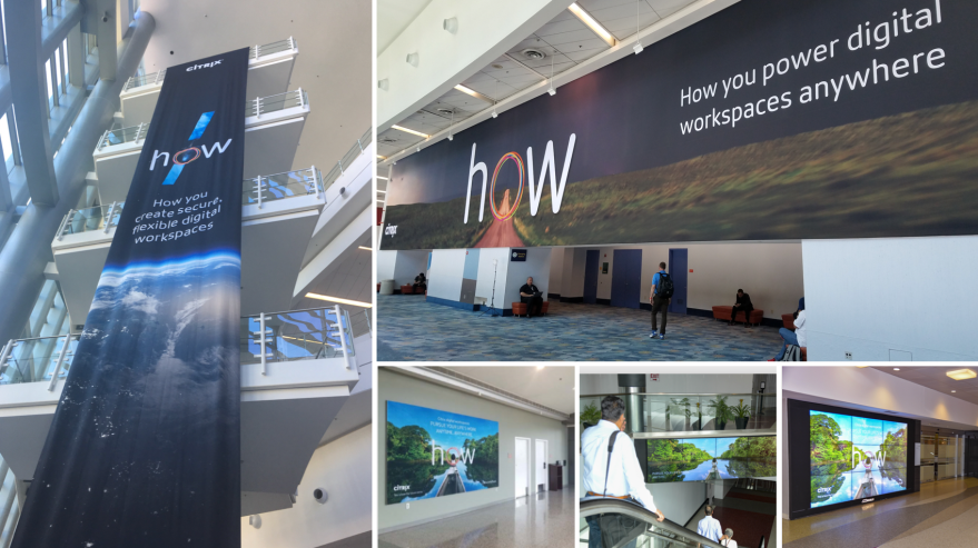 Screen Shot 2018-11-12 at 12.16.03 PM.png